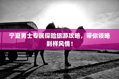 寧夏男士專屬探險旅游攻略，帶你領略別樣風情！