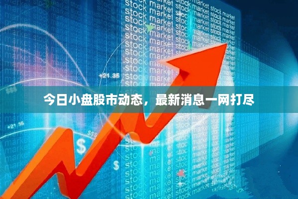 今日小盤股市動態(tài)，最新消息一網(wǎng)打盡