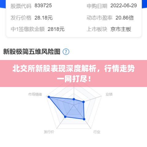 北交所新股表現(xiàn)深度解析，行情走勢一網(wǎng)打盡！