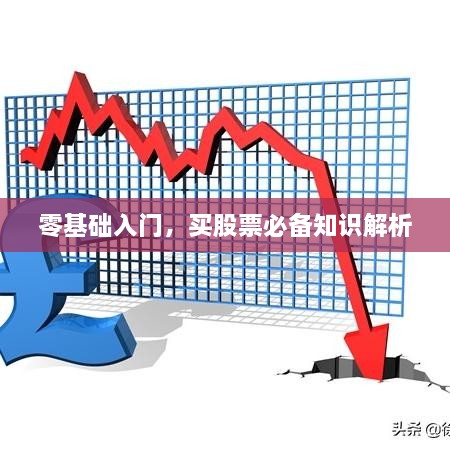 零基礎(chǔ)入門，買股票必備知識解析