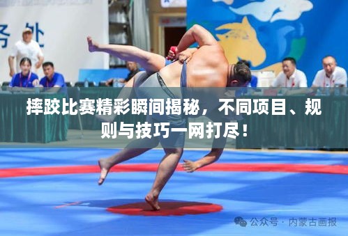 摔跤比賽精彩瞬間揭秘，不同項目、規(guī)則與技巧一網(wǎng)打盡！