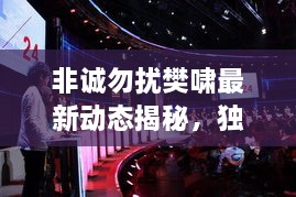 非誠勿擾樊嘯最新動態(tài)揭秘，獨家爆料吸引眼球！