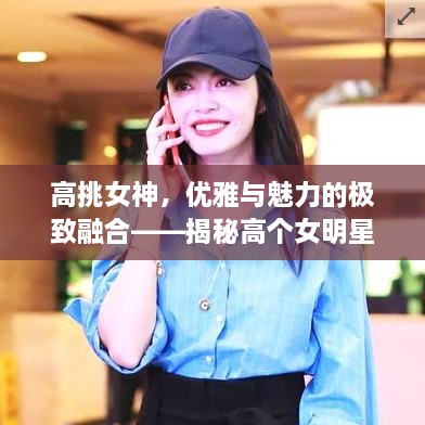 高挑女神，優(yōu)雅與魅力的極致融合——揭秘高個(gè)女明星的魅力風(fēng)采